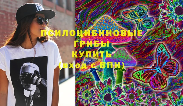 дмт Зерноград