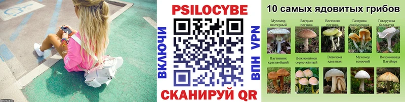 Купить где  Тайга  Псилоцибиновые грибы Magic Shrooms 
